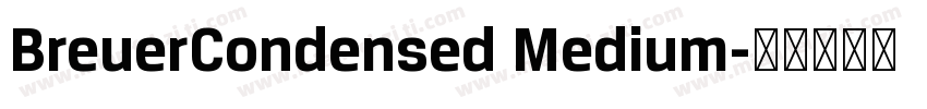 BreuerCondensed Medium字体转换